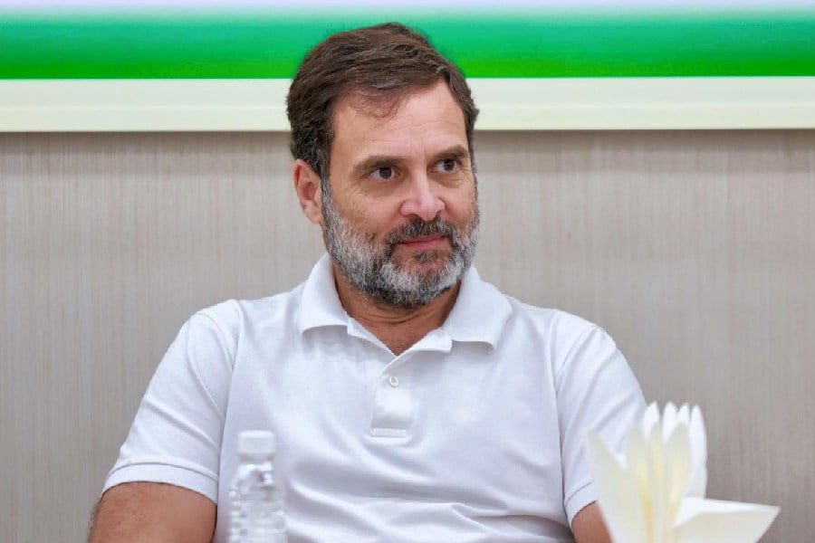 रिपोर्ट: राहुल गांधी ने पांच महीनों में शेयर बाजार से 46.49 लाख रुपये का लाभ कमाया, कुल निवेश 4.33 करोड़ रुपये
