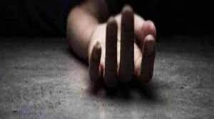 गाजियाबाद में अर्धनग्न महिला का वीडियो वायरल: ‘नेता का बेटा मुझे झाड़ियों में ले गया…पुलिस की प्रतिक्रिया