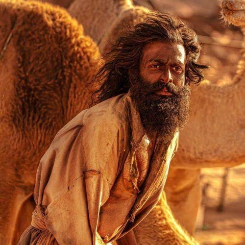 images (31)