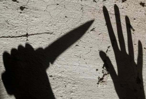15 वर्षीय लड़के ने मोमोज विक्रेता की हत्या की, मां की मौत का दोषी समझा; असली सच कुछ और