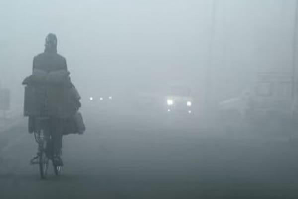 IMG_2224
