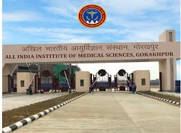 गोरखपुर एम्स: ‘जेब्राफिश मॉडल’ से होगा कैंसर अध्ययन, इलाज में मिलेगी नई दिशा
