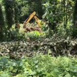 सागौन कटा, बोटे गायब…अब जड़ों पर भी बुलडोजर! माधो नगर में वन संपदा की कथित लूट के बाद ‘सबूत मिटाने’ का खेल?